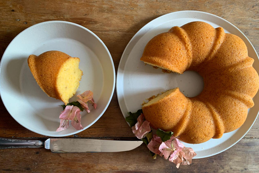 Free HTML5 Templates by FREEHTML5.co